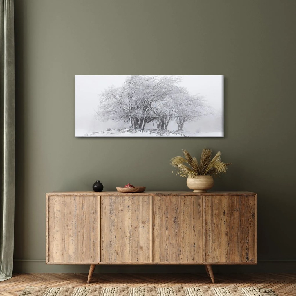 Obraz - Biela zima (120x50 cm)