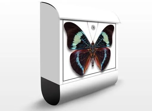Poštová schránka Motýl
