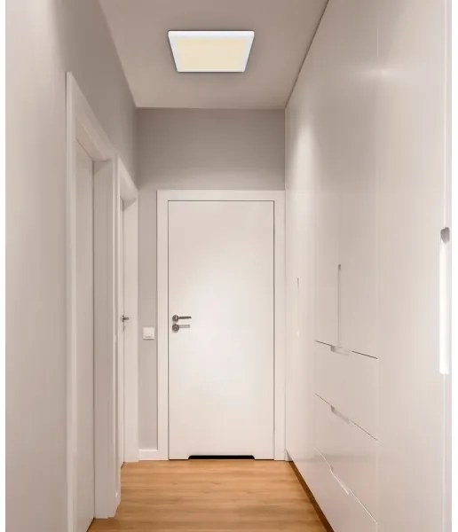 Globo 12380-24W - LED Stropné svietidlo LASSE LED/24W/230V 3000/4000/6500K biela
