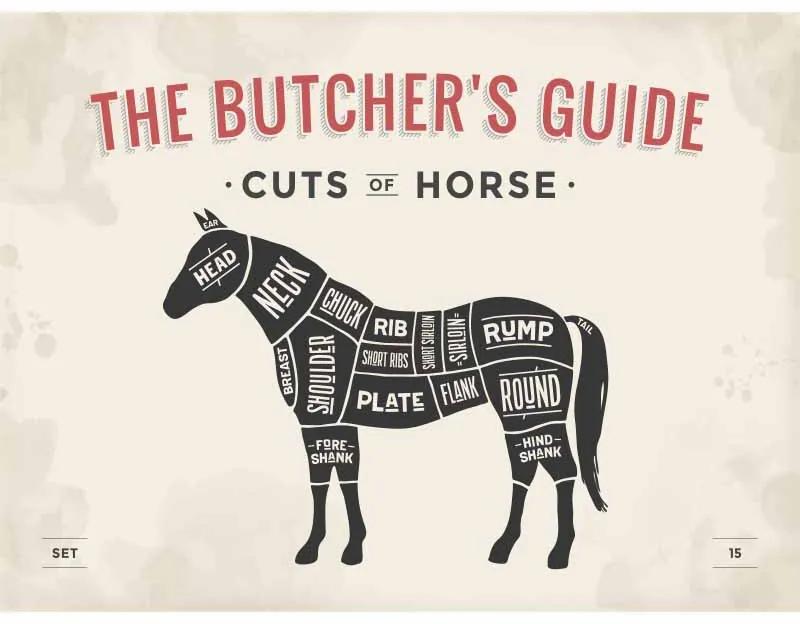 Ceduľa The Butchers Guide - Cuts of Horse 40 x 30 cm