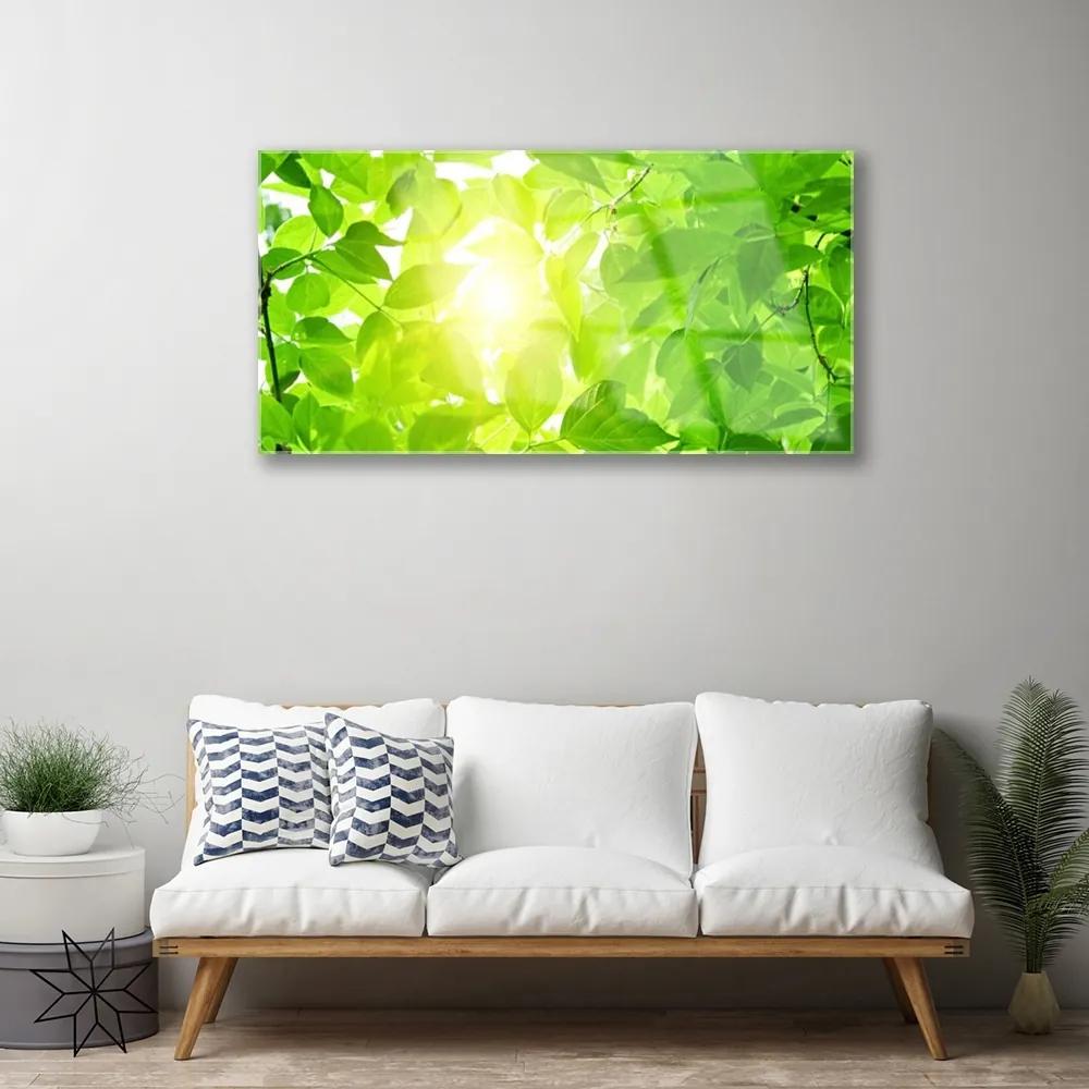 Skleneny obraz Listy príroda slnko rastlina 120x60 cm