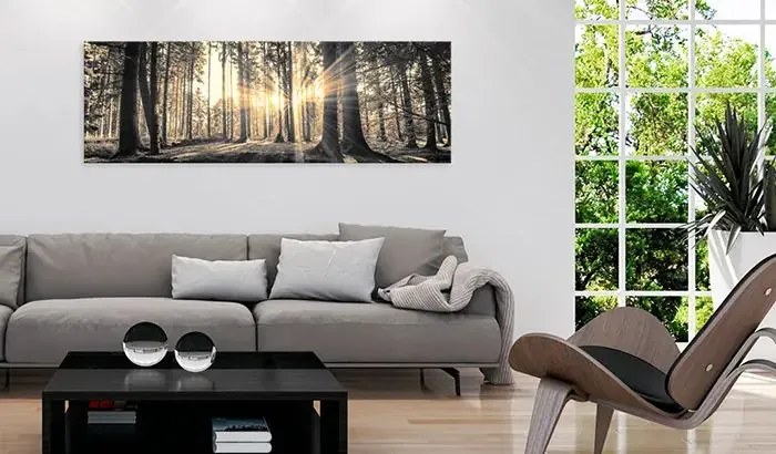 Obraz - Forest Sun Veľkosť: 120x40, Verzia: Na talianskom plátne