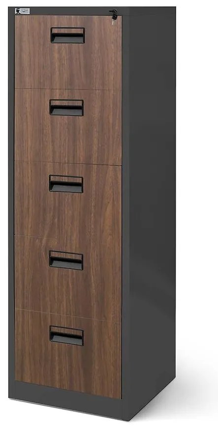 Skriňa Sara V005 kovová antracit/orech