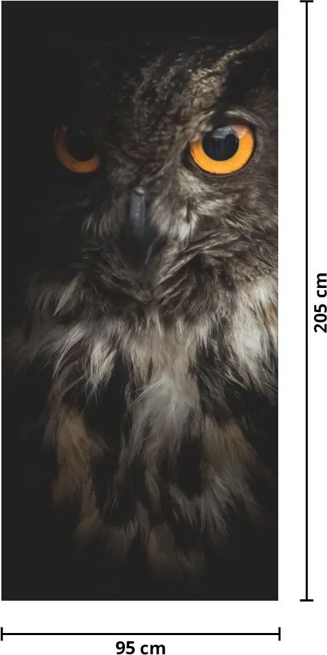 Fototapeta na dvere - Sova (95x205cm)