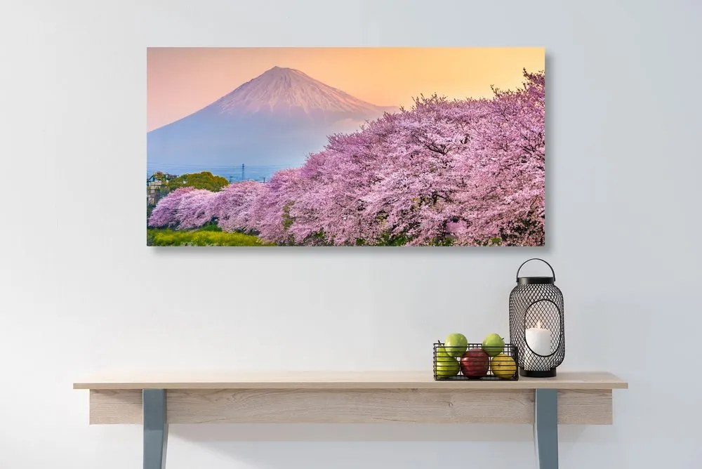 Obraz romantický pohľad na Japonsko