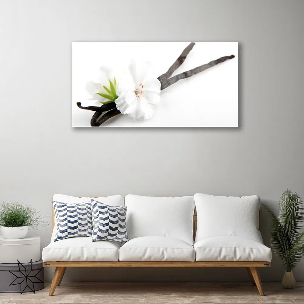 Obraz plexi Kvet rastlina príroda 100x50 cm