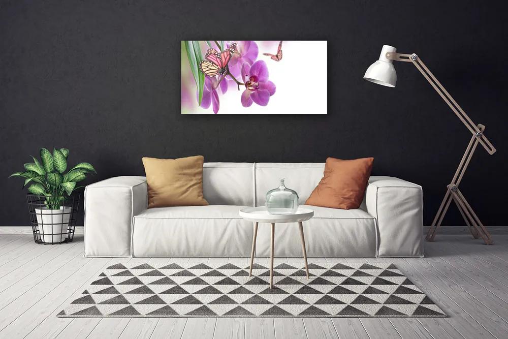 Obraz Canvas Motýle kvety príroda 120x60 cm
