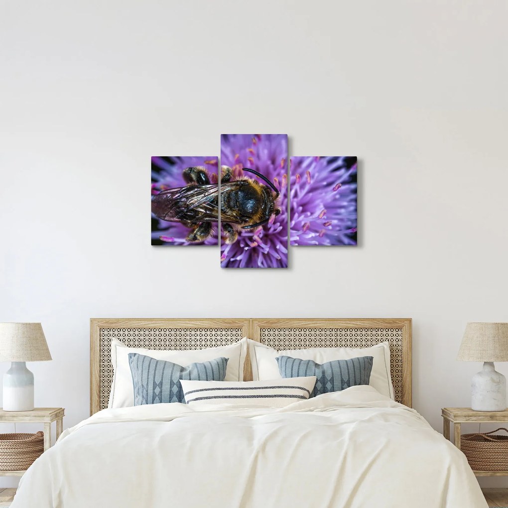 Obraz včely na kvetine (90x60 cm)