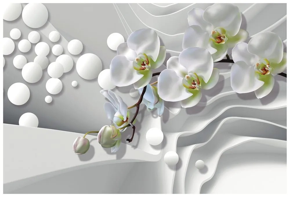 Tapeta orchidea na abstraktnom pozadí