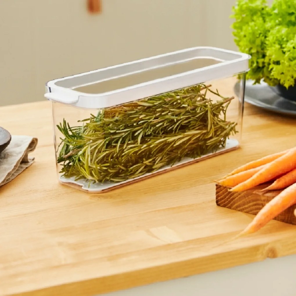 Rotho Organizér do chladničky, s vekom a špeciálnou podložkou 2l CAUMA