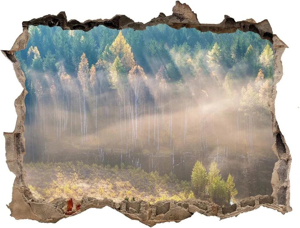 Fototapeta díra na zeď Mlha v lese WallHole-95x64-kamien-104886541