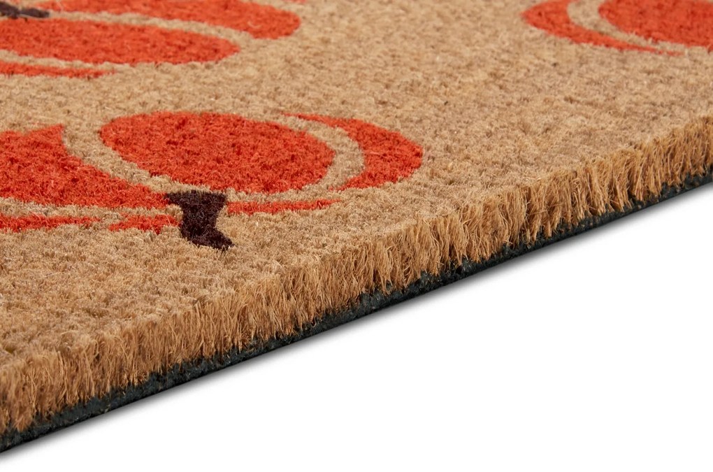 Hanse Home Collection koberce Rohožka Mix Mats Cocos 105677 - 45x75 cm