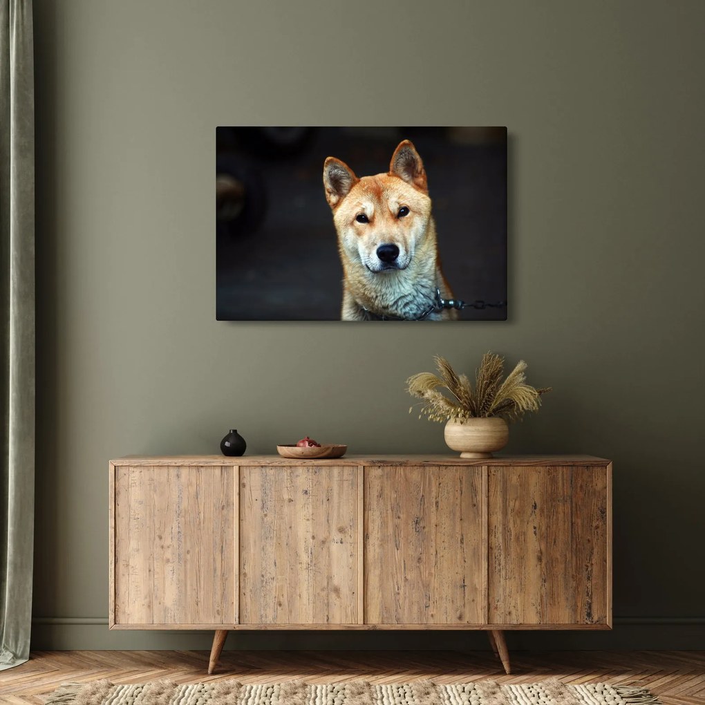 Obraz psa (90x60 cm)