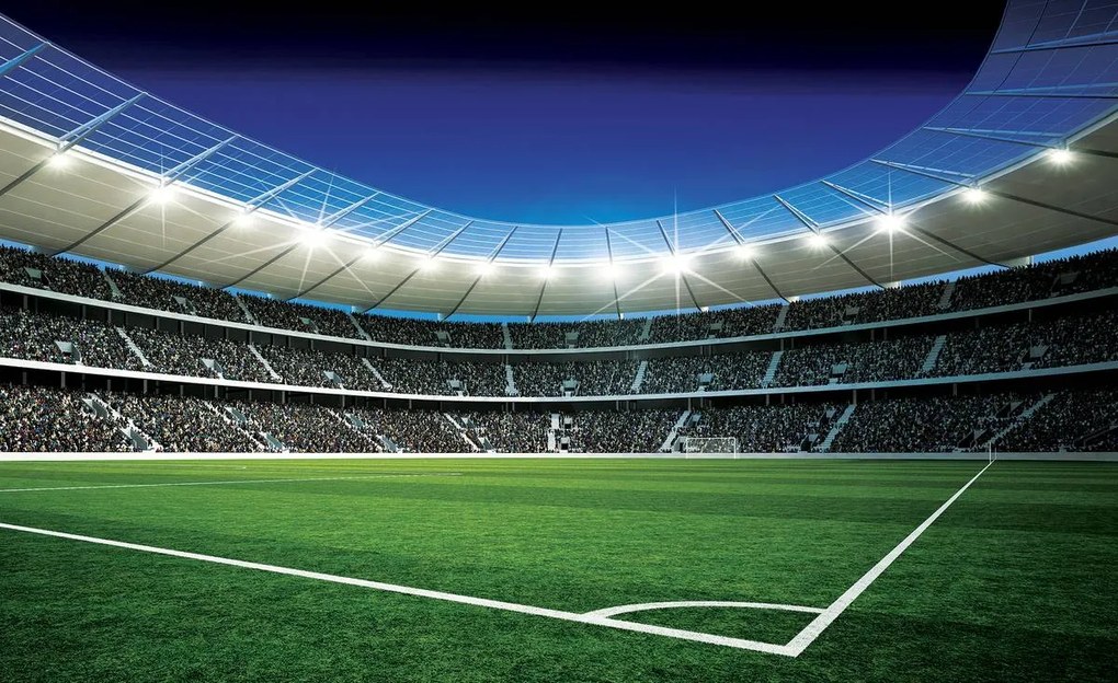 Fototapeta - Futbalové ihrisko (152,5x104 cm)