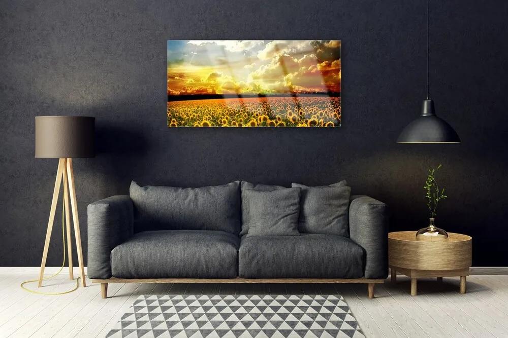 Skleneny obraz Pole slnečníc krajina 100x50 cm