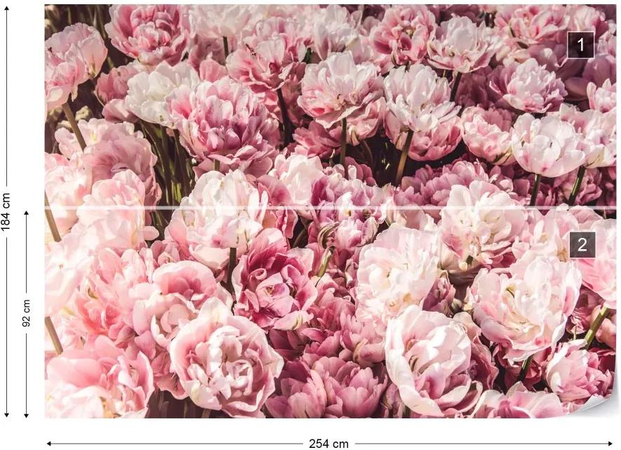 Fototapeta GLIX - Sea Of Flowers + lepidlo ZADARMO Vliesová tapeta  - 254x184 cm