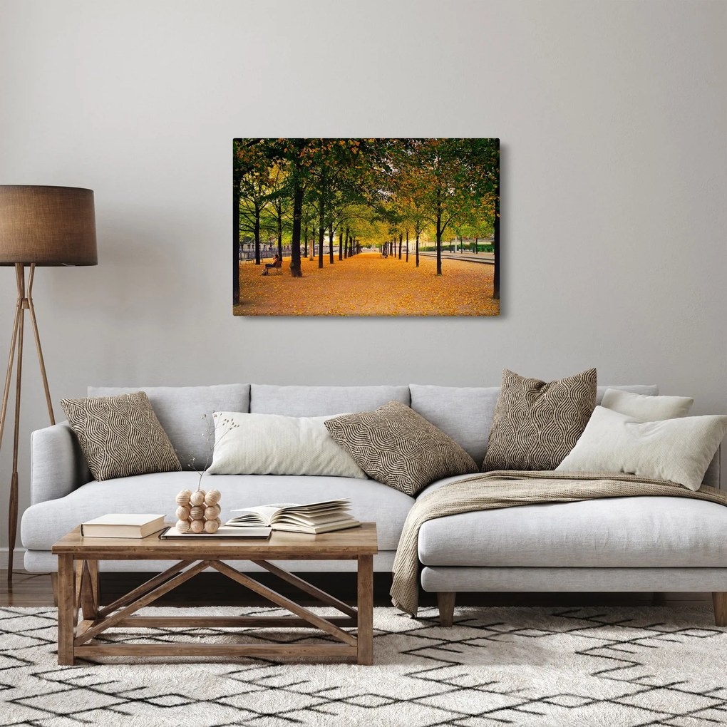 Obraz aleje jesenných stromov (90x60 cm)