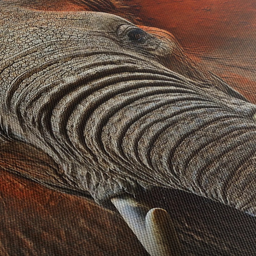 Obraz - Slony z Tsavo (70x50 cm)