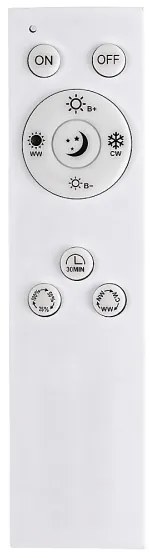 Rabalux 71015 - LED Stmievateľné svietidlo BENEDICK LED/40W/230V Wi-Fi Tuya + DO