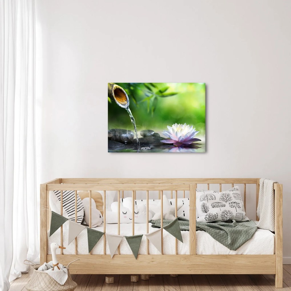 Obraz - Lotus (70x50 cm)