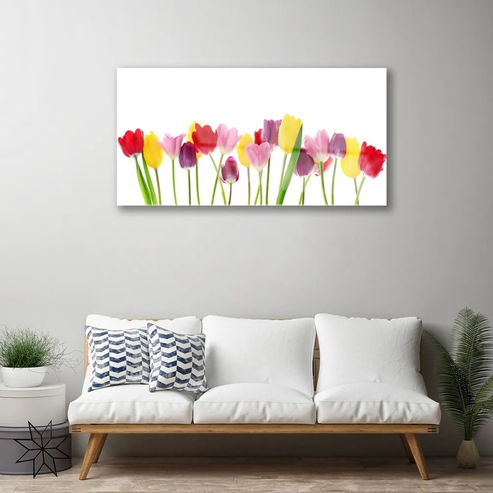 Obraz na skle Tulipány kvety rastlina 125x50 cm