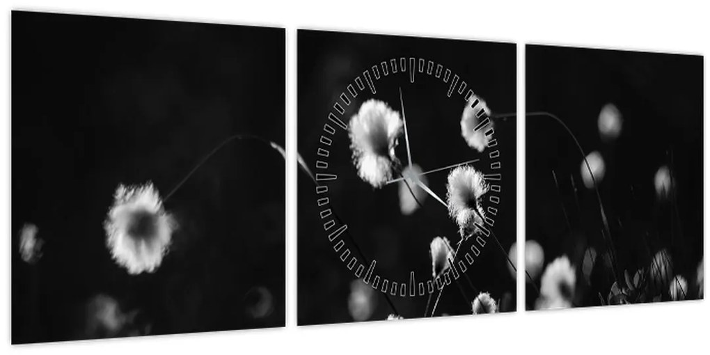 Obraz - Lúka s cottongrass N⁰1 (s hodinami) (90x30 cm)