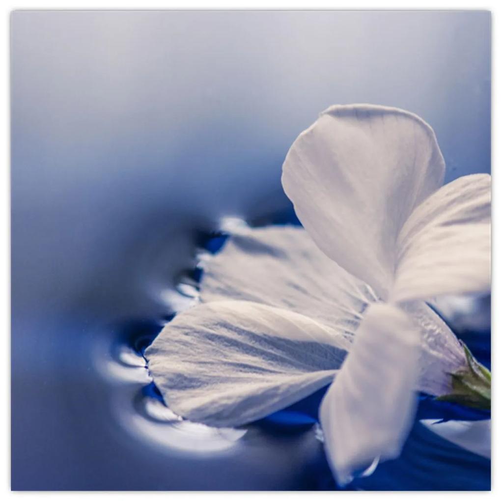 Obraz bieleho kvetu vo vode