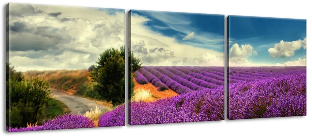 Gario Obraz na plátne Čarovná levanduľová krajina - 3 dielny Rozmery: 90 x 30 cm