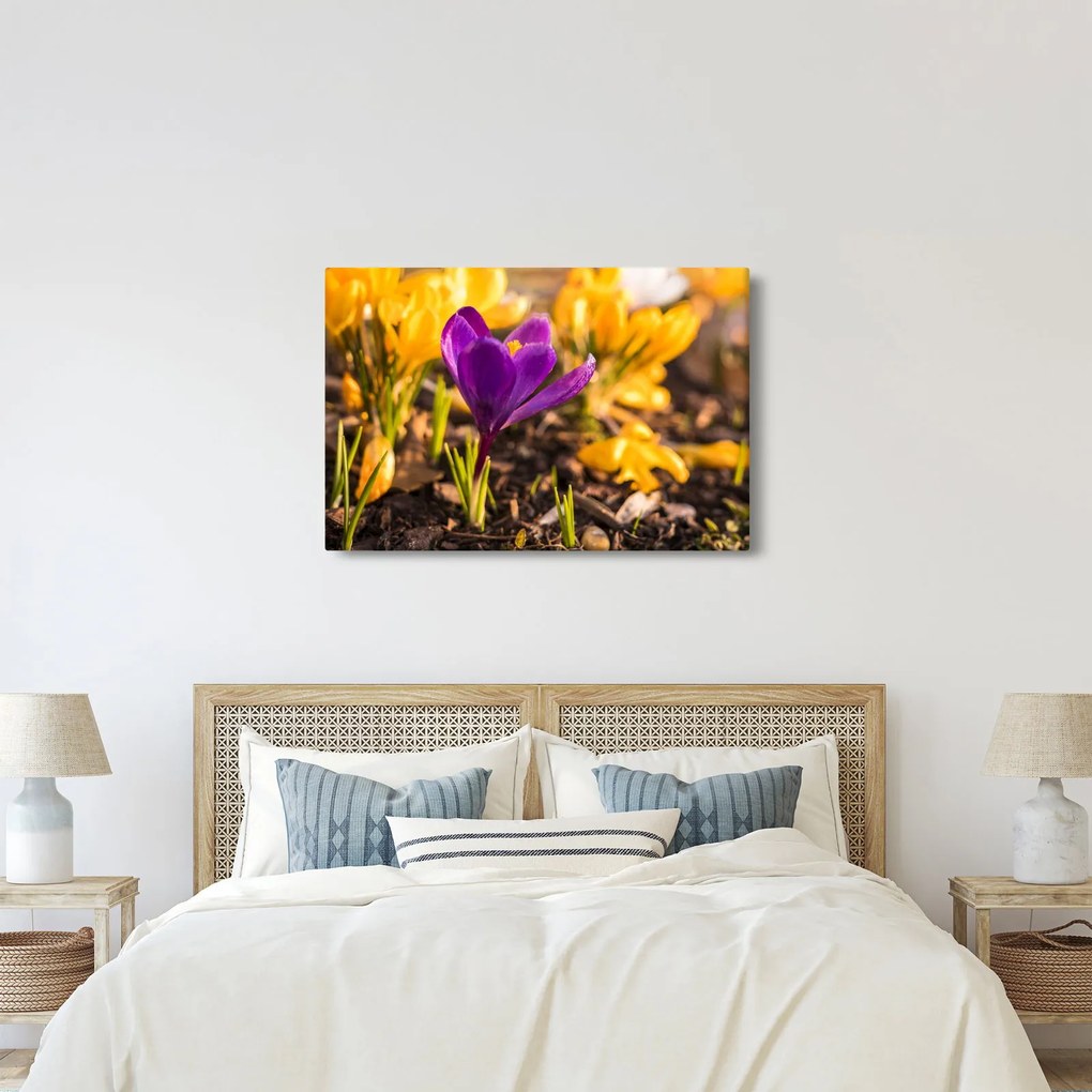Obraz fialovej kvetiny (90x60 cm)