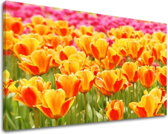 Obraz na stenu KVETY KV025E11 - 100x150 cm