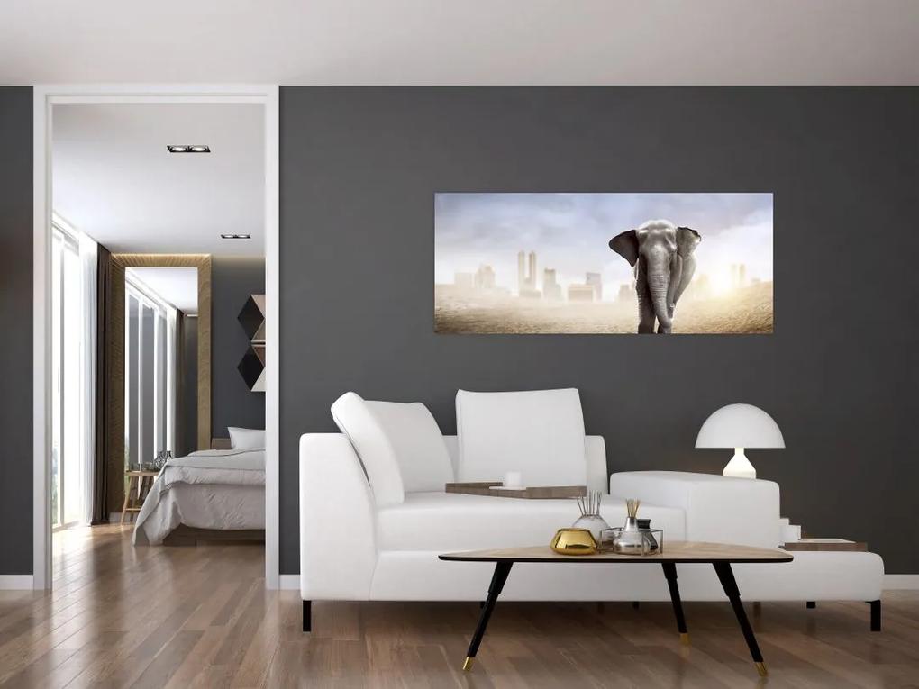 Obraz - Sloníčka vo veľkomeste (120x50 cm)