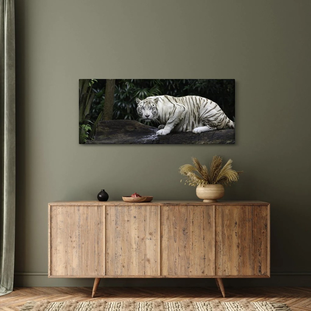 Obraz - Tiger albín (120x50 cm)
