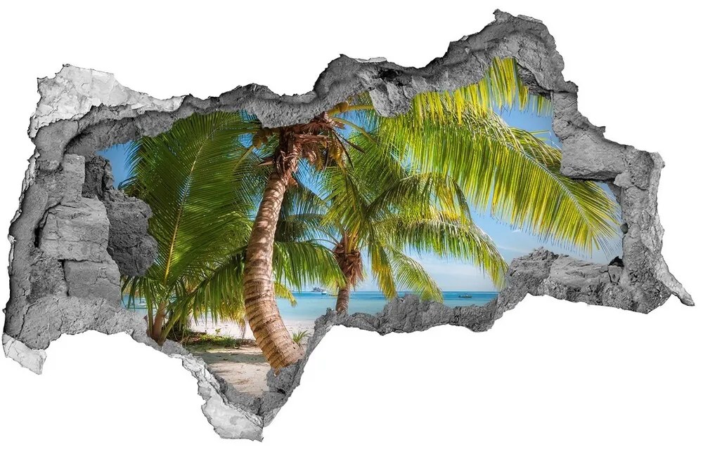 Diera 3D v stene na stenu Tropické pláže nd-b-126132906