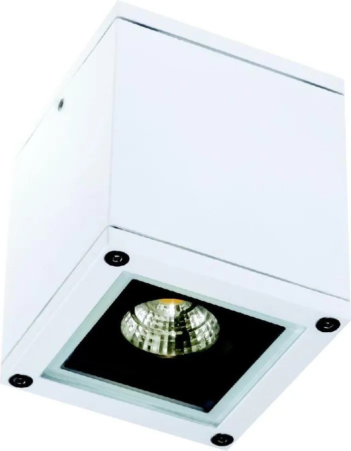 Zambelis E270 - Vonkajšie bodové svietidlo 1xGU10/35W/230V IP65 biela