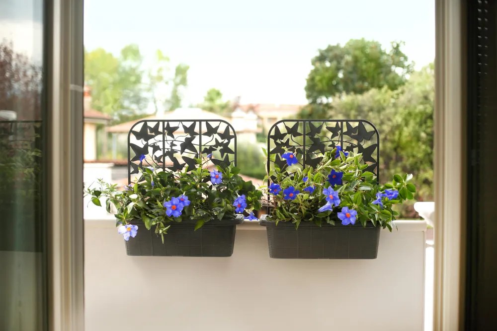 BAMA Hrantík Rondine Balcony sada 2ks, antracit