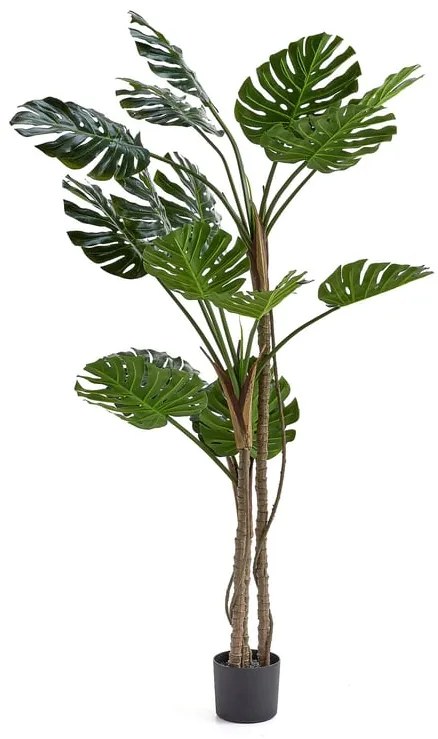 Umelá rastlina EVERGREEN, Monstera, V 1800 mm, 1 ks