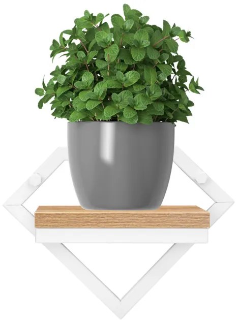 Nástenný stojan na kvety DORON biely