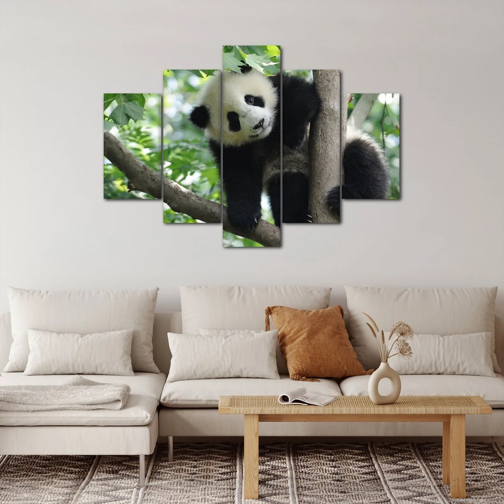 Obraz - Panda na strome (150x105 cm)