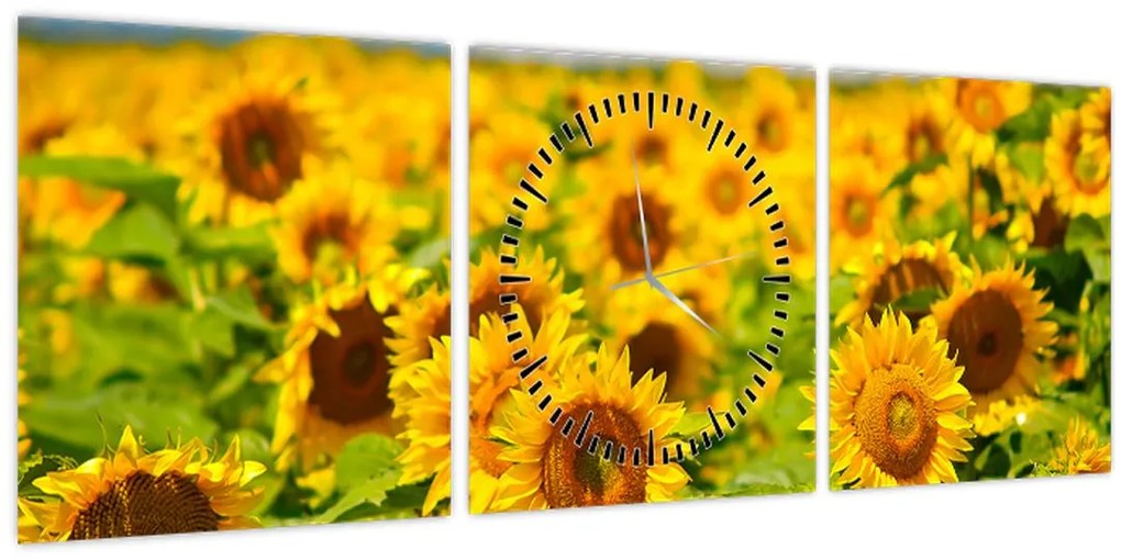 Obraz - Slnečnica (s hodinami) (90x30 cm)