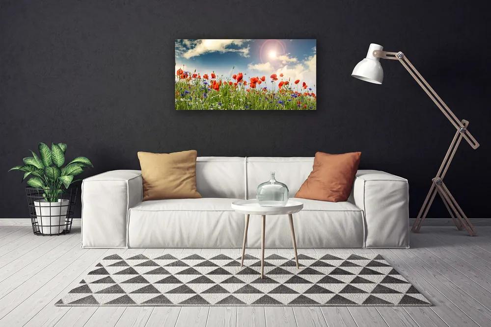 Obraz Canvas Lúka kvety slnko príroda 140x70 cm