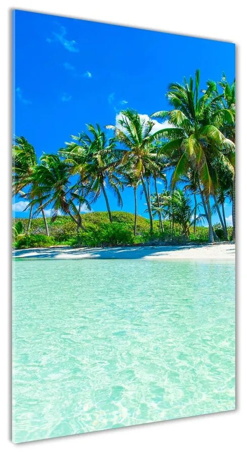 Foto obraz akrylové sklo Tropická pláž pl-oa-70x140-f-99365379