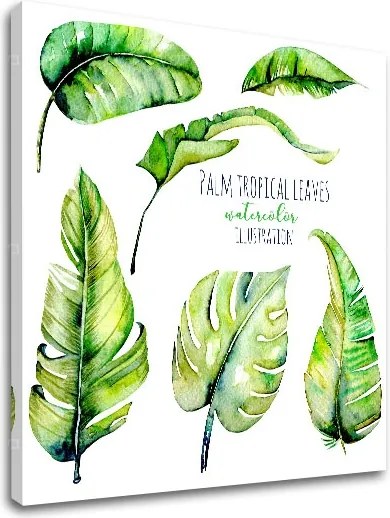 Obraz na stenu s textom Palm tropical leaves