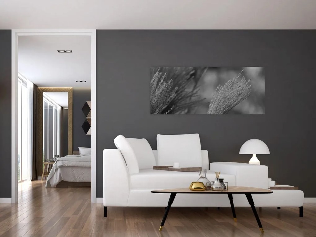 Obraz - Sušená pampová tráva (120x50 cm)