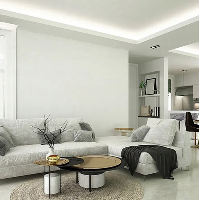 BERGE LED pásik COB Neon 12V - 528D - 15W/m - IP20 - 1650lm - 50m - studená farba