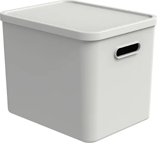 Rotho 2. akosť - Úložný box, rovný s vekom, 27l, matne biela ALBU LIGHT, 37x29x30