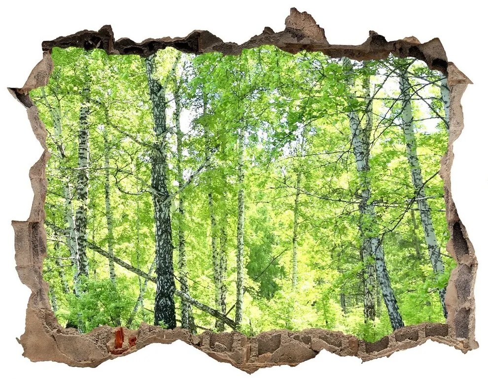 Samolepící díra nálepka Brezového lesa nd-k-84161730