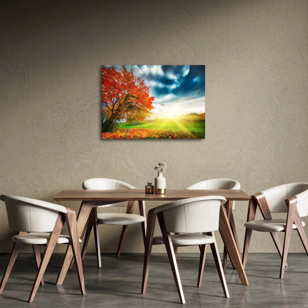 Obraz krajiny zaliate slnečným svitom (70x50 cm)
