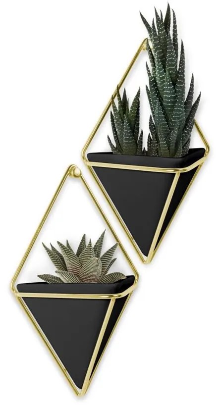 Květináč na stěnu Umbra TRIGG malý SET/2ks černá, mosazná