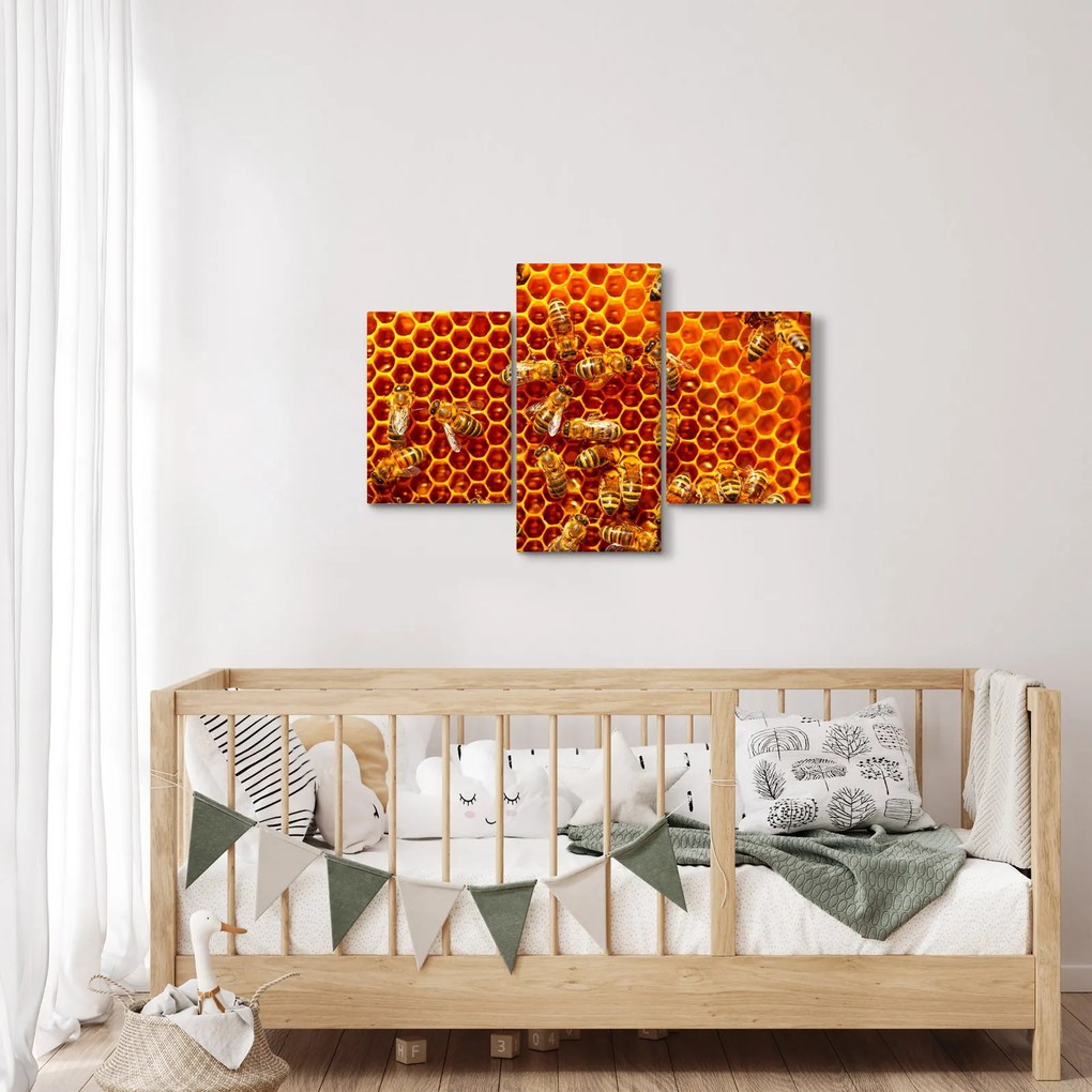 Obraz - Medový plást (90x60 cm)