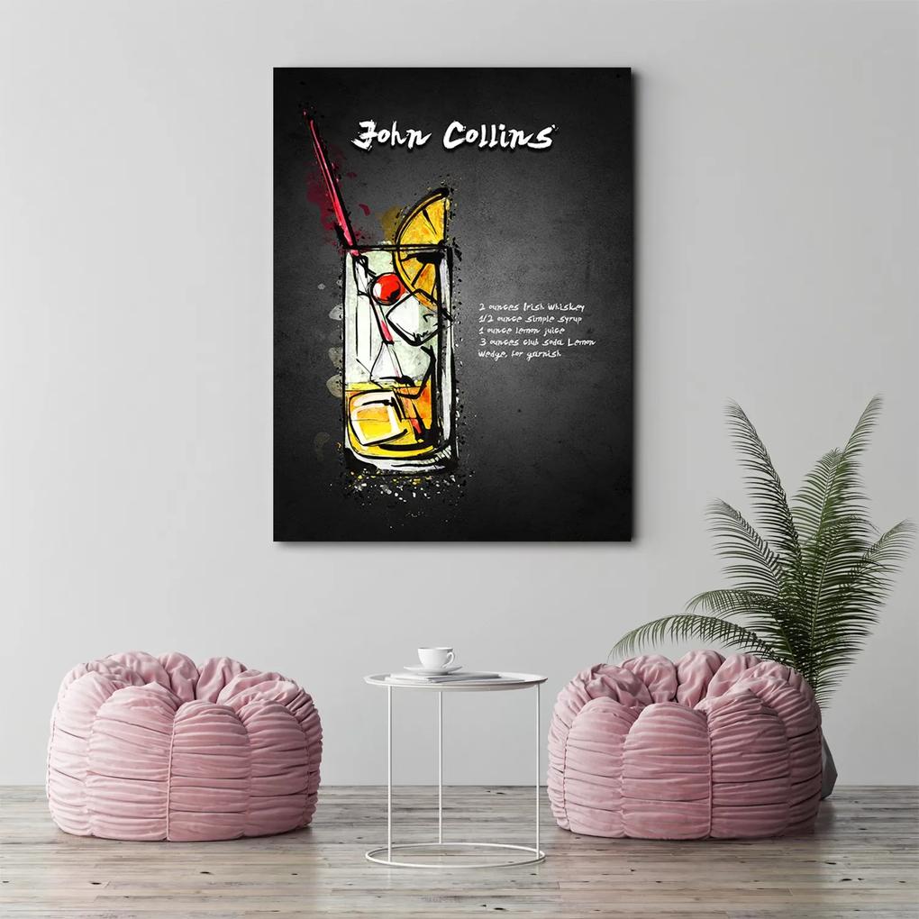 Gario Obraz na plátne Koktail john collins - Gab Fernando Rozmery: 40 x 60 cm